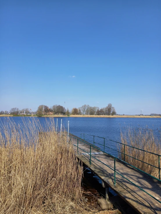 a large body of water surrounded by tall brown grass