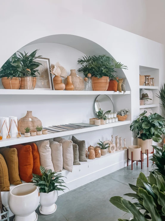 a room with shelves filled with potted plants