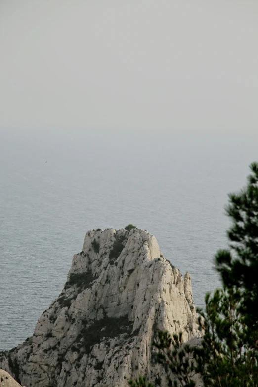 the bird is perched on top of a rock on the beach