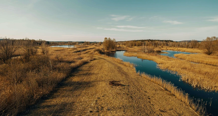 a large marshy area with a small river running through it