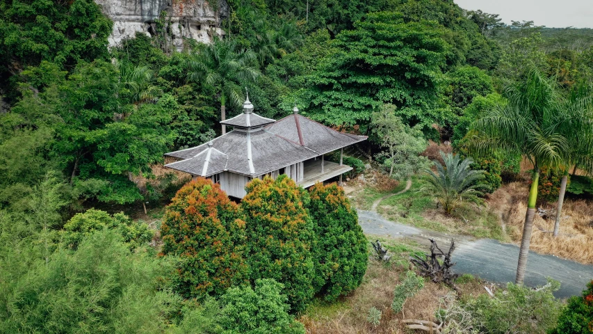 a house is nestled into the trees in the woods