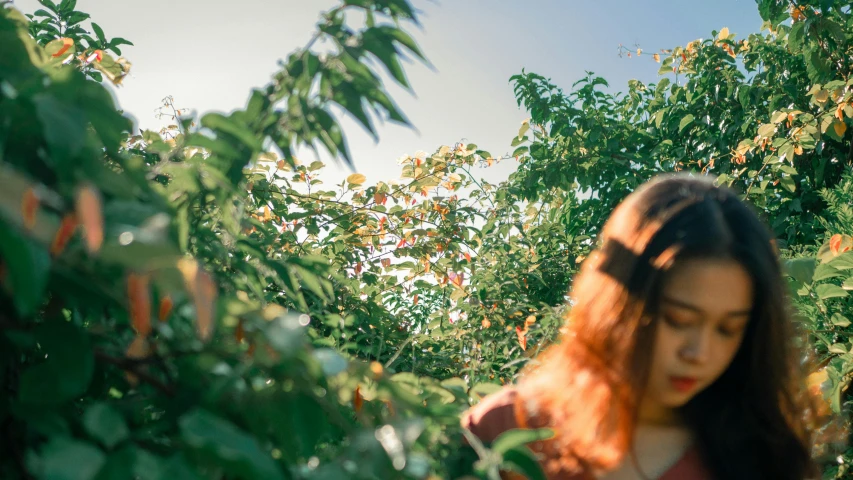a woman stands in a line of fruit trees with her back turned to the camera