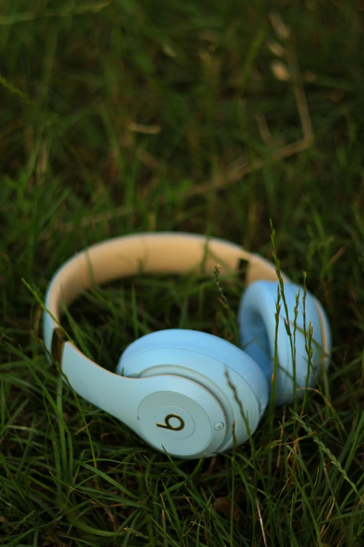 a pair of headphones laying on the grass