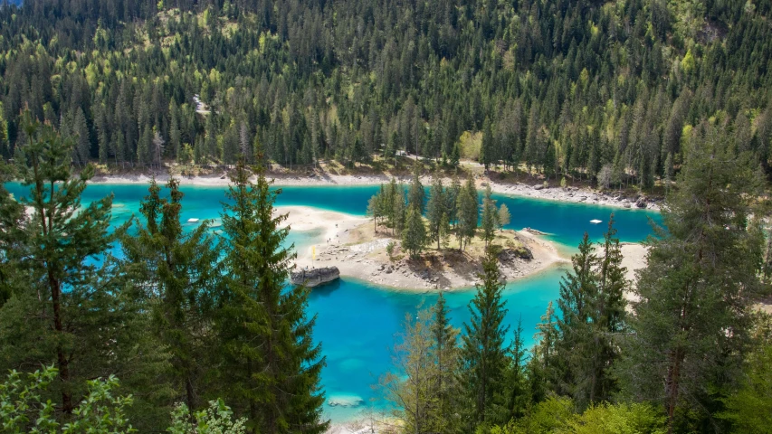 trees surrounding a body of water near a mountain