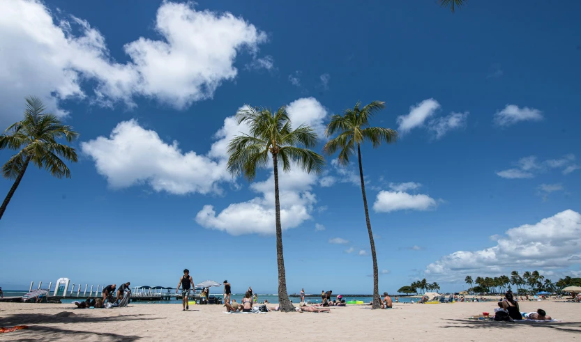 a large group of people at the beach on a sunny day