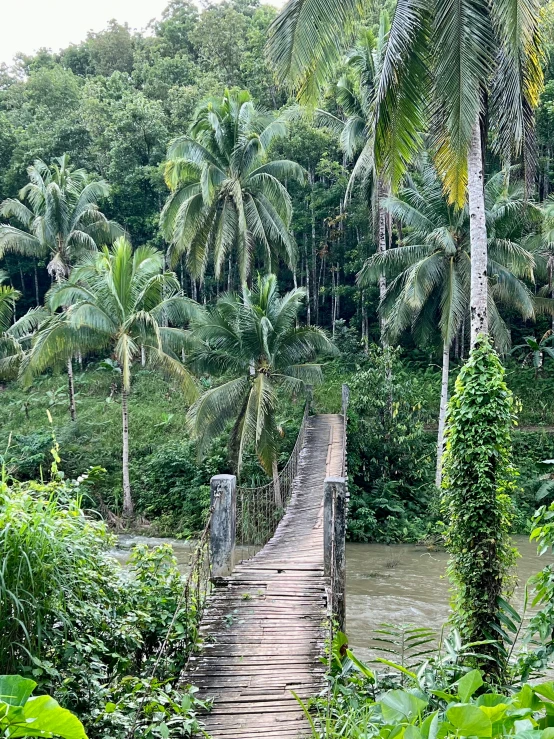 an wooden boardwalk over a body of water