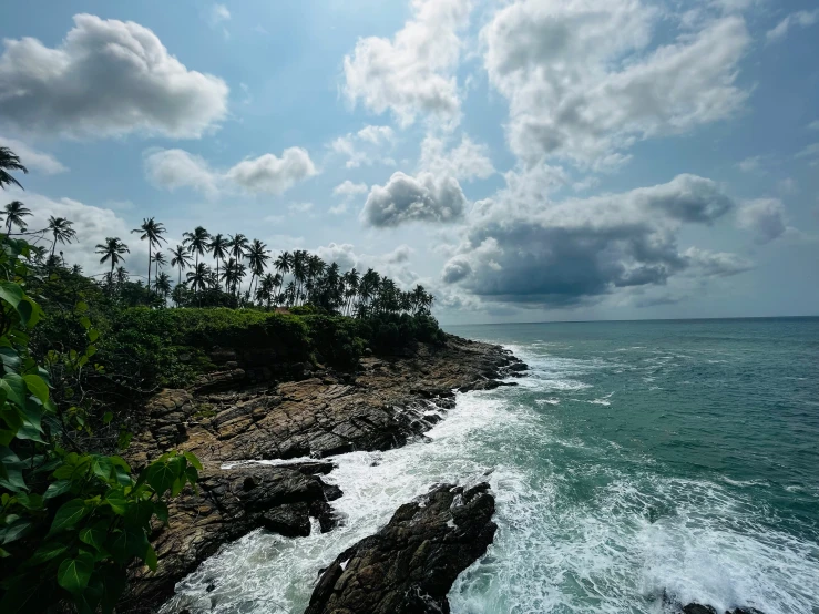 the ocean next to a rocky shore near some palm trees