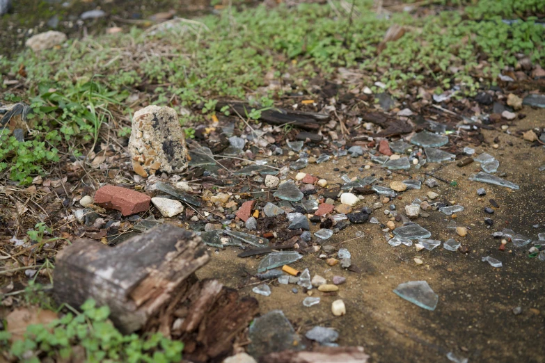 a bunch of old broken glass pieces and some dead wood