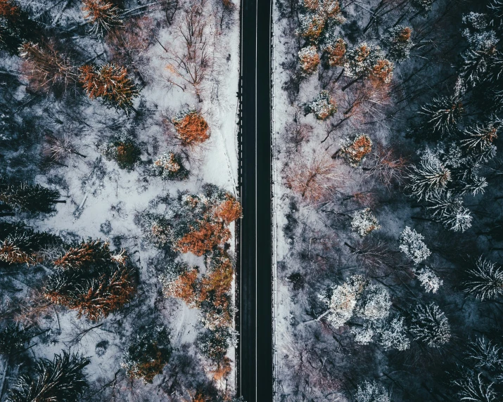 a road surrounded by snow covered trees