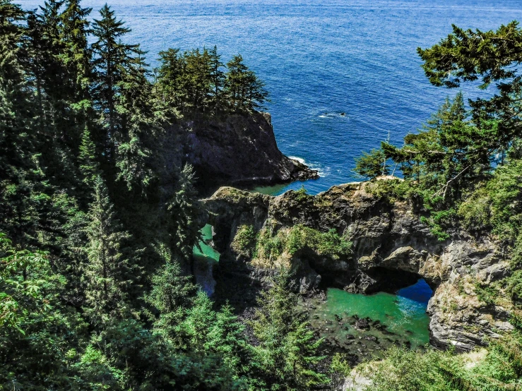 the view from inside an outcropping of trees overlooking water