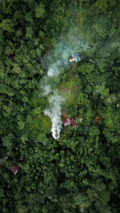 a small fire can be seen in the midst of some trees