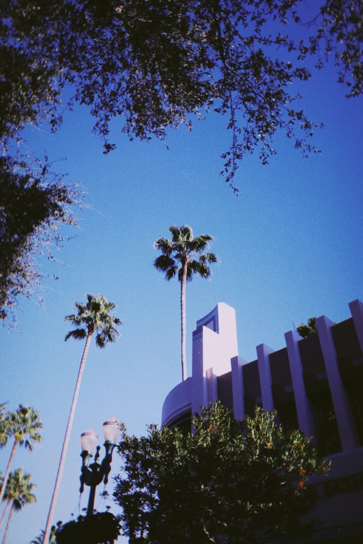 a clock on top of a building and several palm trees