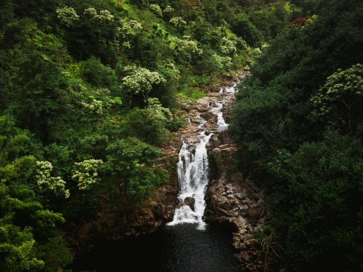 an overhead s shows a waterfall flowing through lush green trees