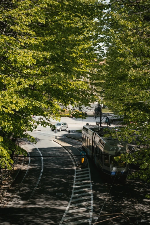 a train on a track that runs along side of trees