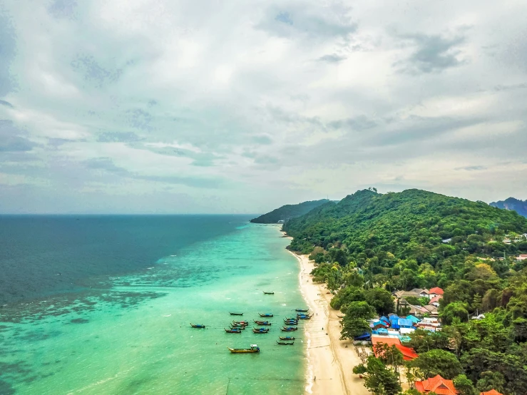 the beach and green trees on the horizon in a deserted area