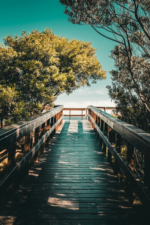 a long wooden walkway leading through some trees