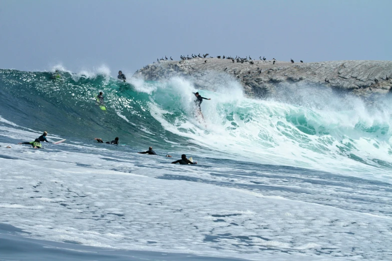 surfers riding waves in an ocean with many birdwatchers