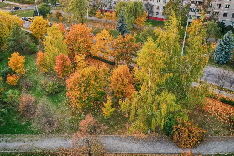 an aerial view of a city street that is surrounded by autumn trees