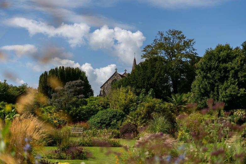 the garden is full of purple and yellow flowers