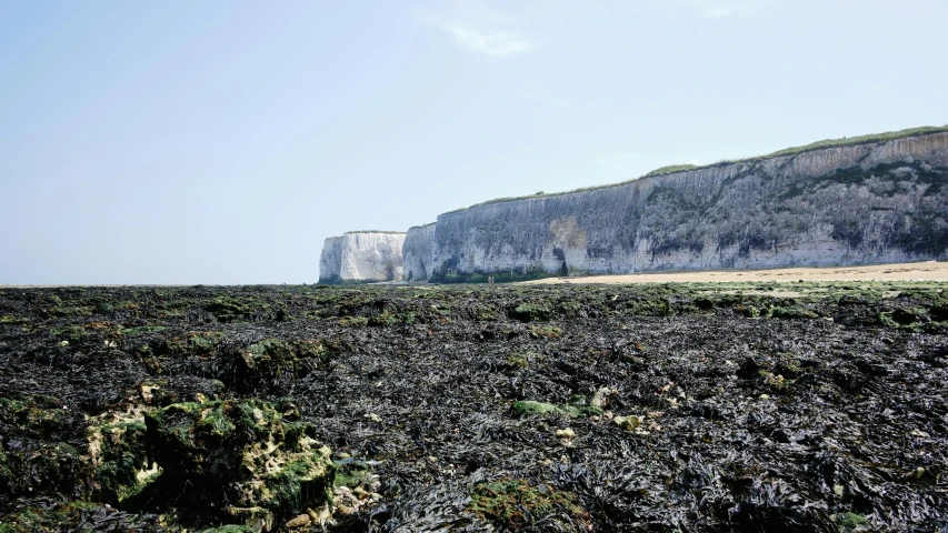 a dirt field next to a large white cliff