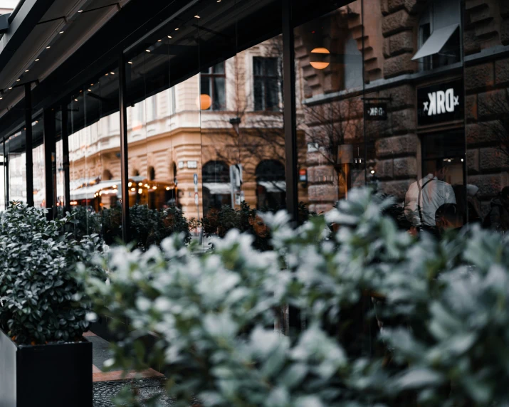 the store has plants lining the sidewalk outside