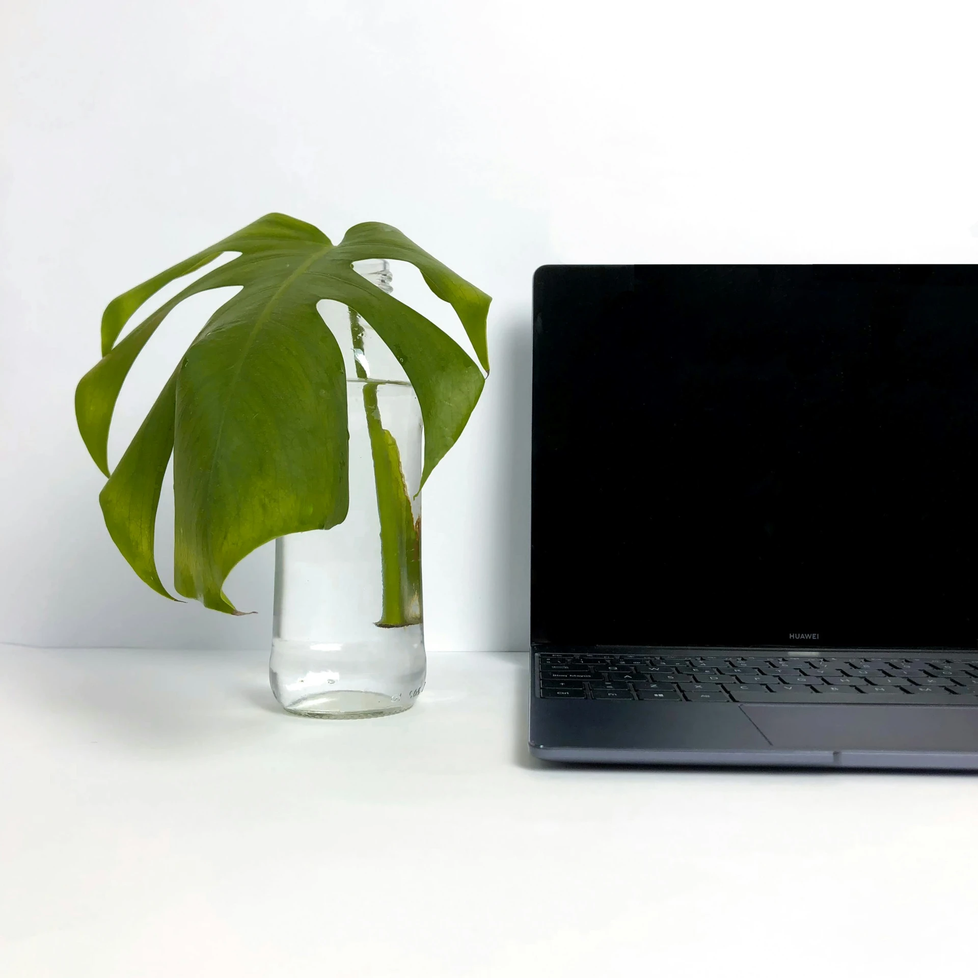 a vase with leaves, next to an opened laptop