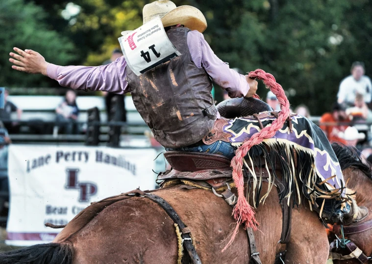 man in cowboy hat riding small brown horse