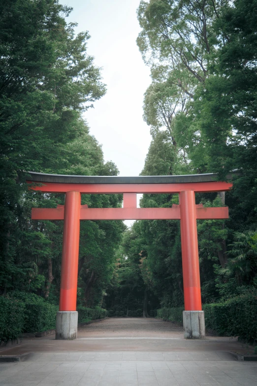 a red tori tori shrine gate sitting in a forest