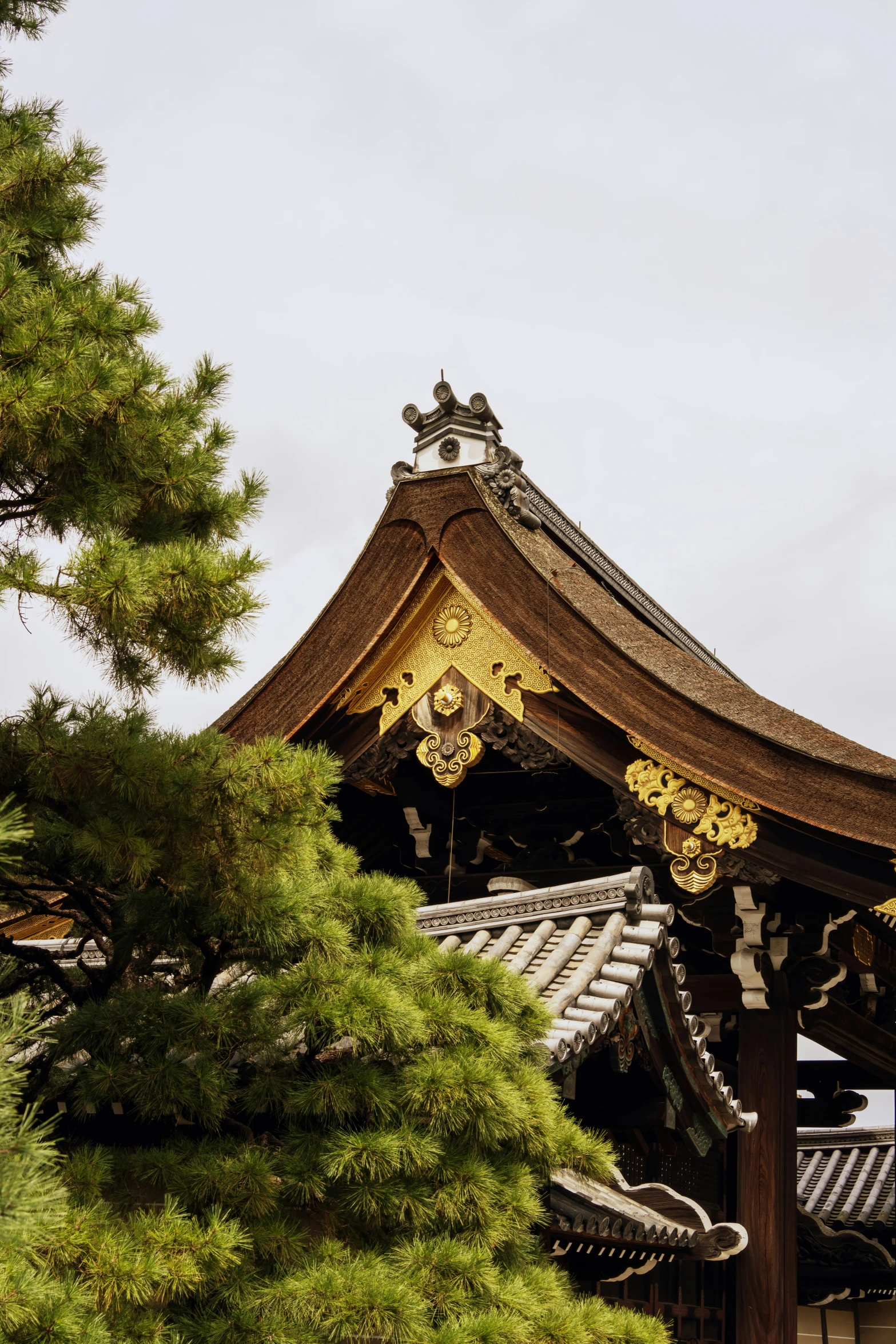 a japanese style temple with trees growing on it