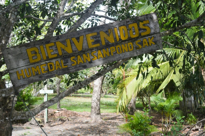 sign for a botanical sanctuary that reads binevendados