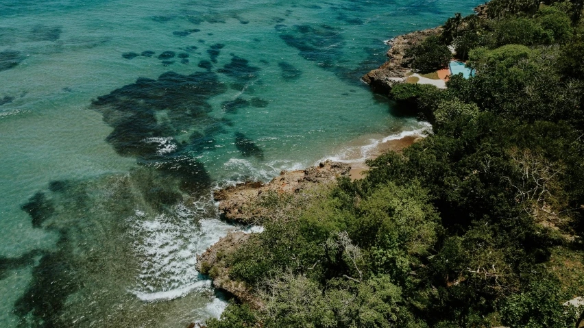 the beach has many green bushes and trees