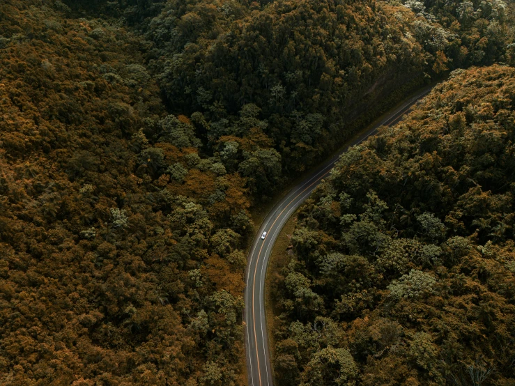 the highway goes around an intersection surrounded by green trees