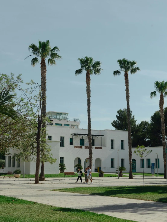 the palm trees are in front of a large building