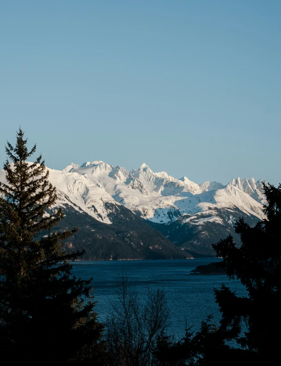 the trees are near the mountains and water