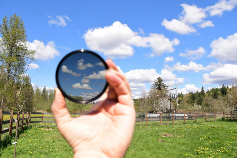 the person is holding up their lens to look at a field with trees and grass