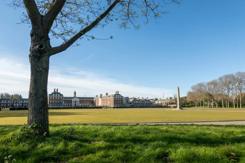 a tall building stands in the background as trees grow on the grass