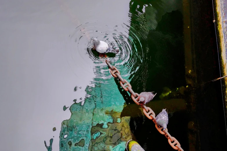 a small white ball hanging in the water near a pole