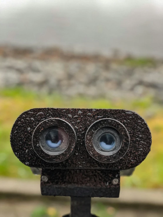 two small eyes have been placed between the back side of the camera
