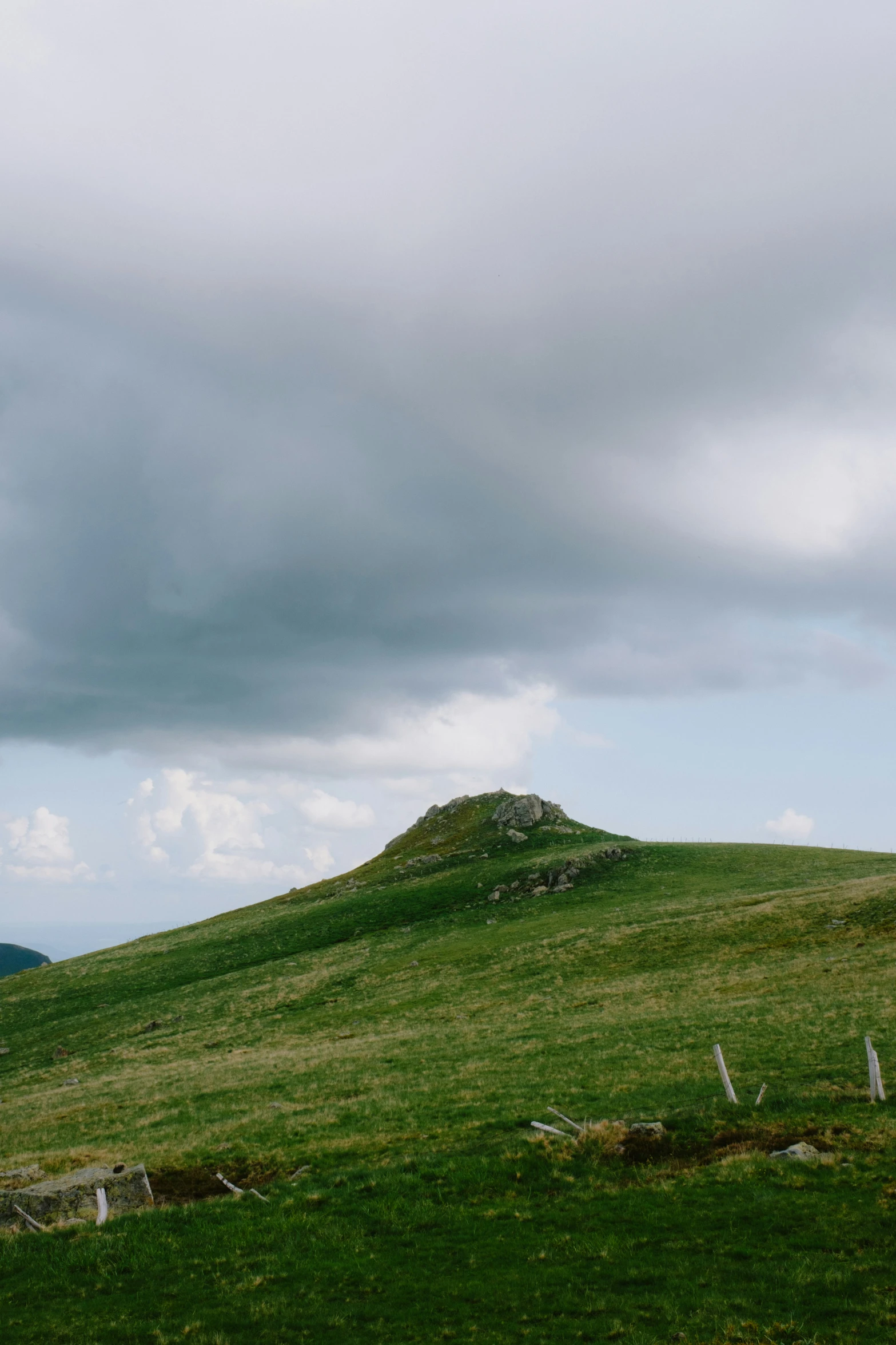 a lone giraffe stands in the middle of a large grassy hill