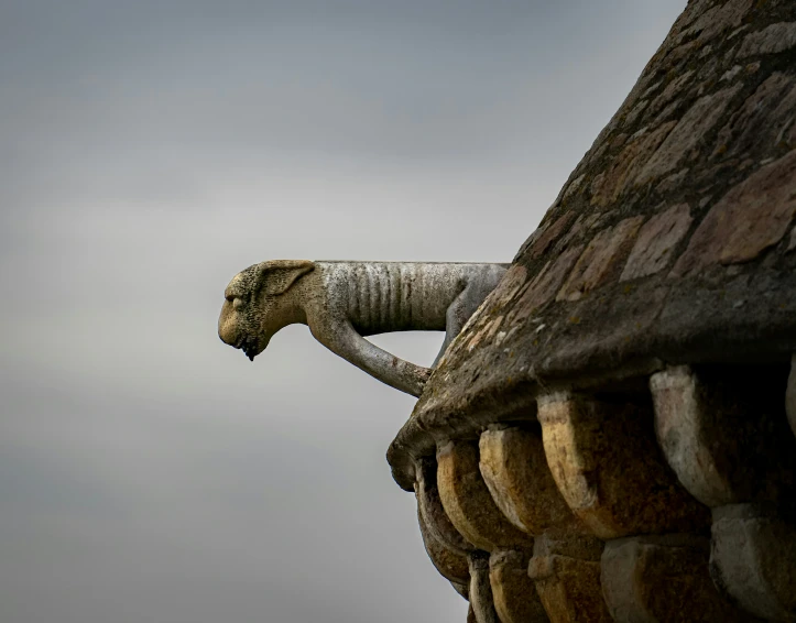 the roof and structure of an old building