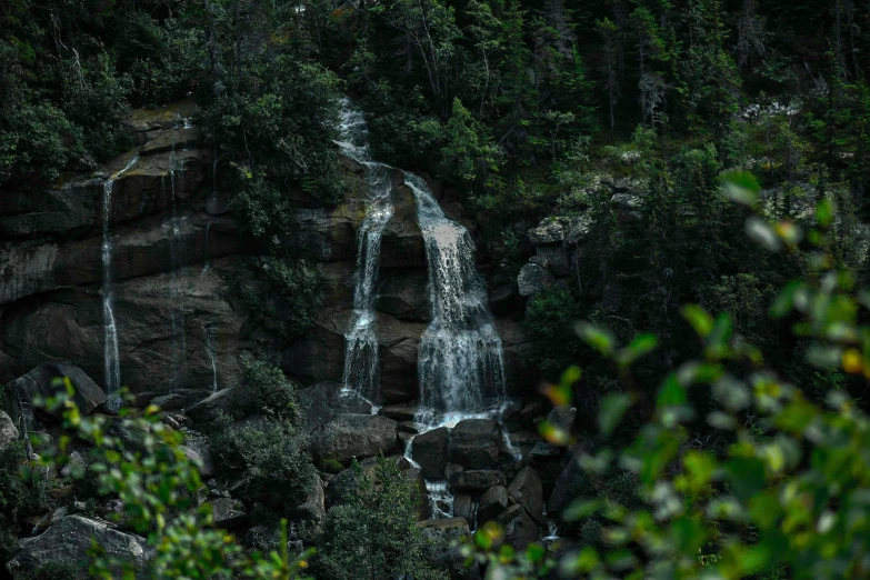 the waterfall in the forest is surrounded by trees