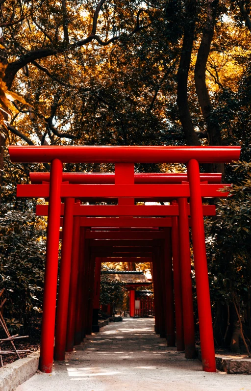 a red torii archway leads into the woods