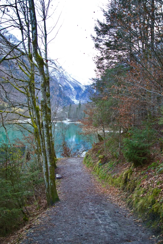 a lone path leading to a body of water