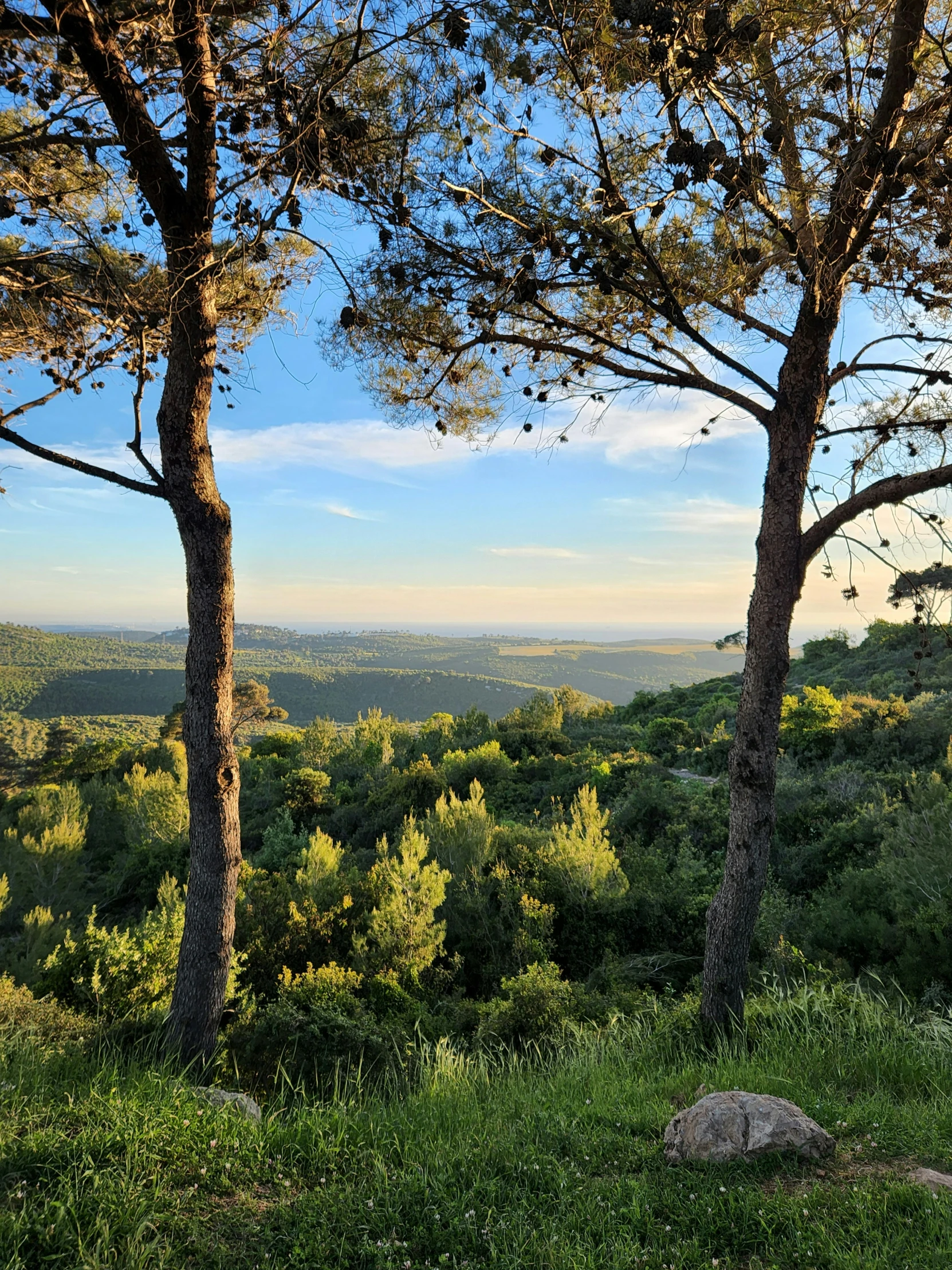 trees in the distance are overlooking a valley and valleys