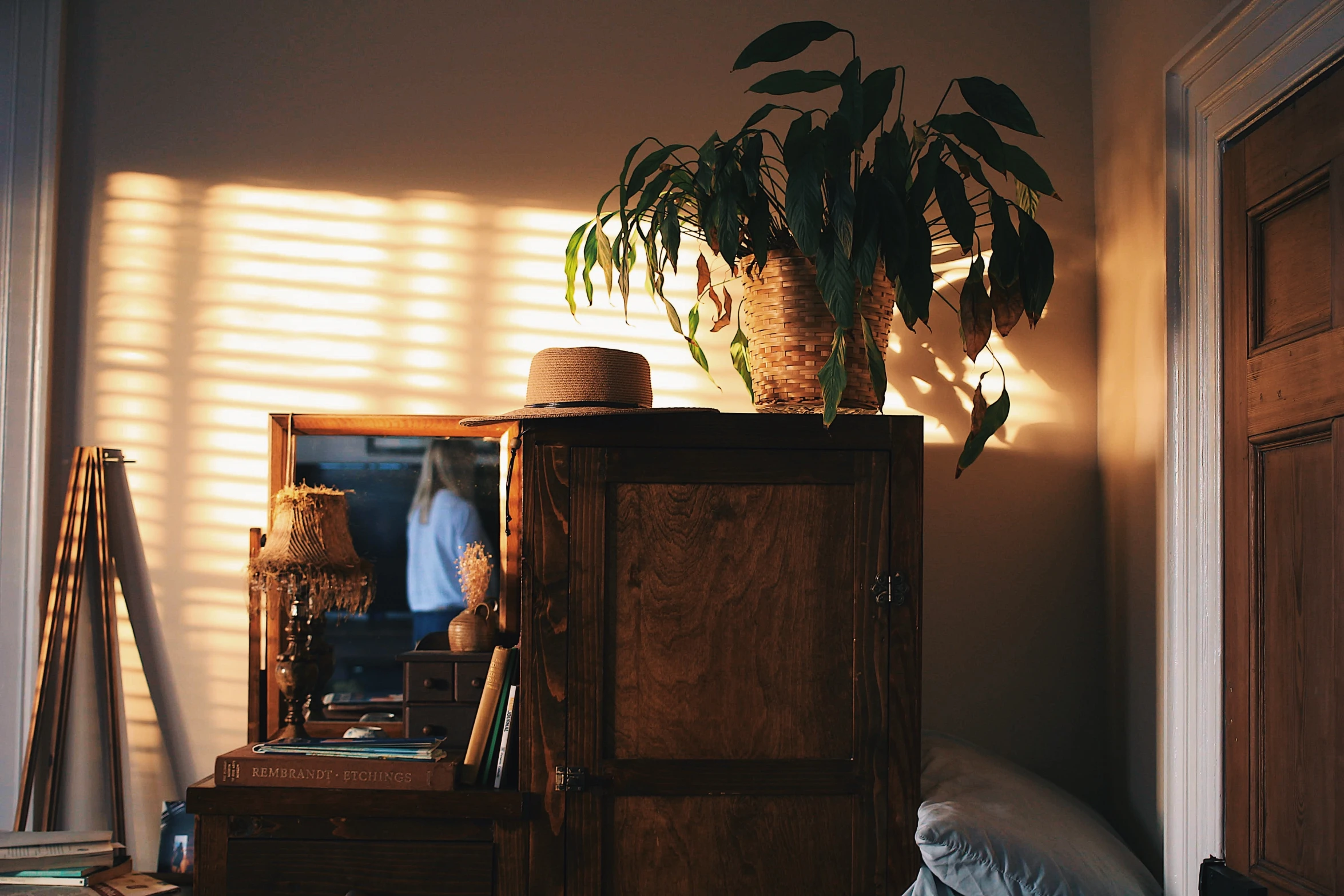 the room is empty and there is a tall potted plant