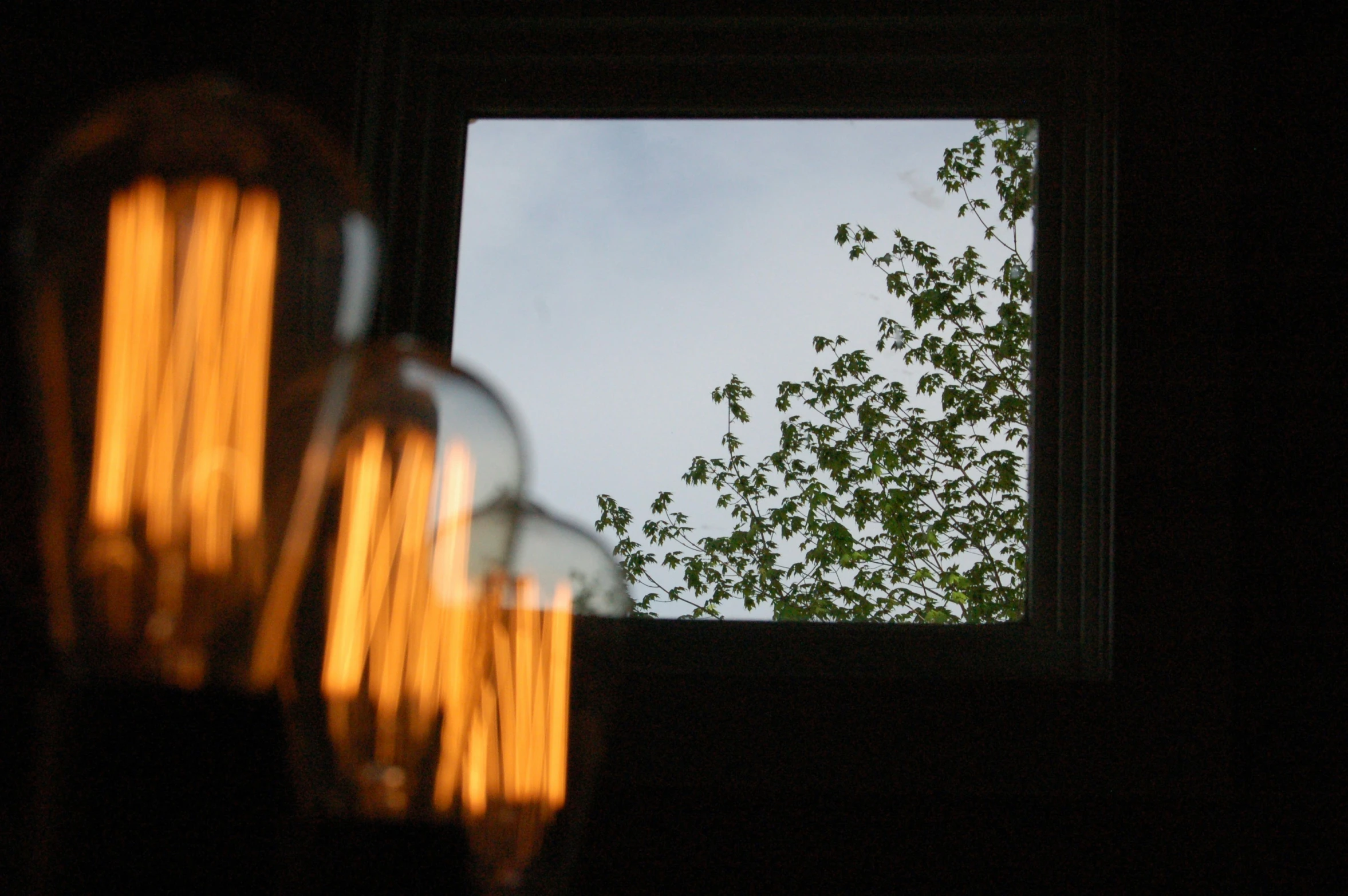 a tree in the distance is seen through the window