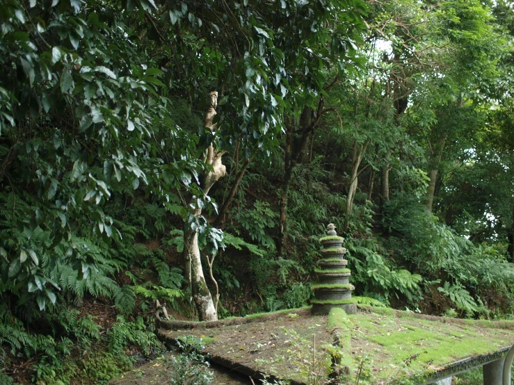 a wooden structure sits between some trees and foliage