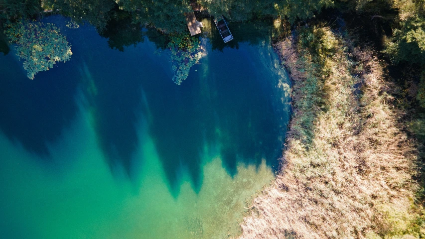 a very scenic aerial view of the woods