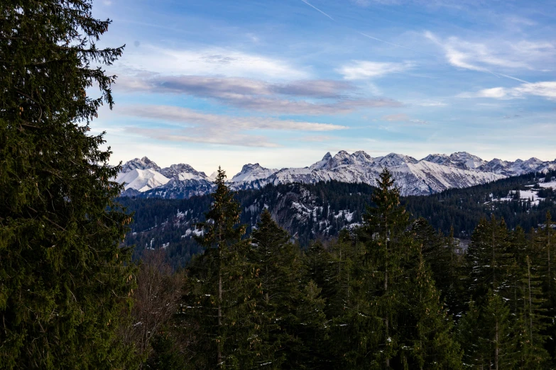 a beautiful snowy mountain landscape with pine trees