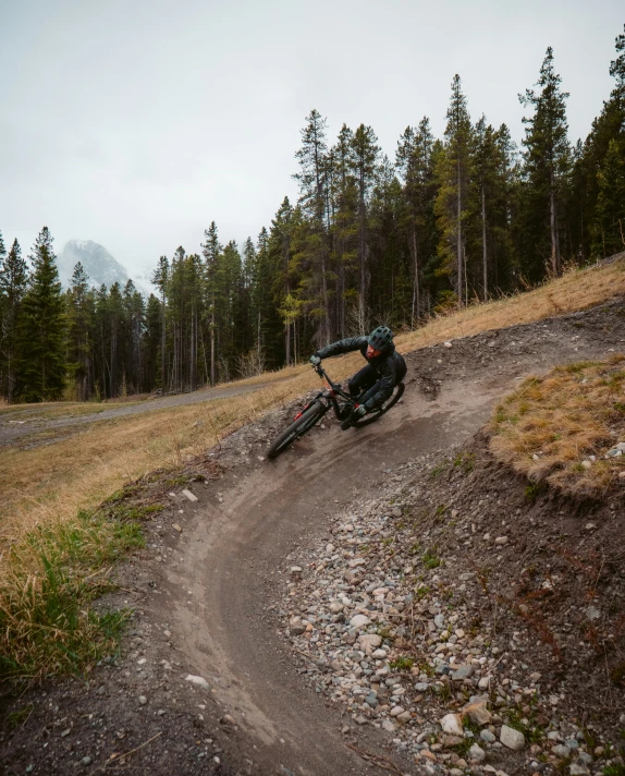 a cyclist in black jacket riding down road next to forest